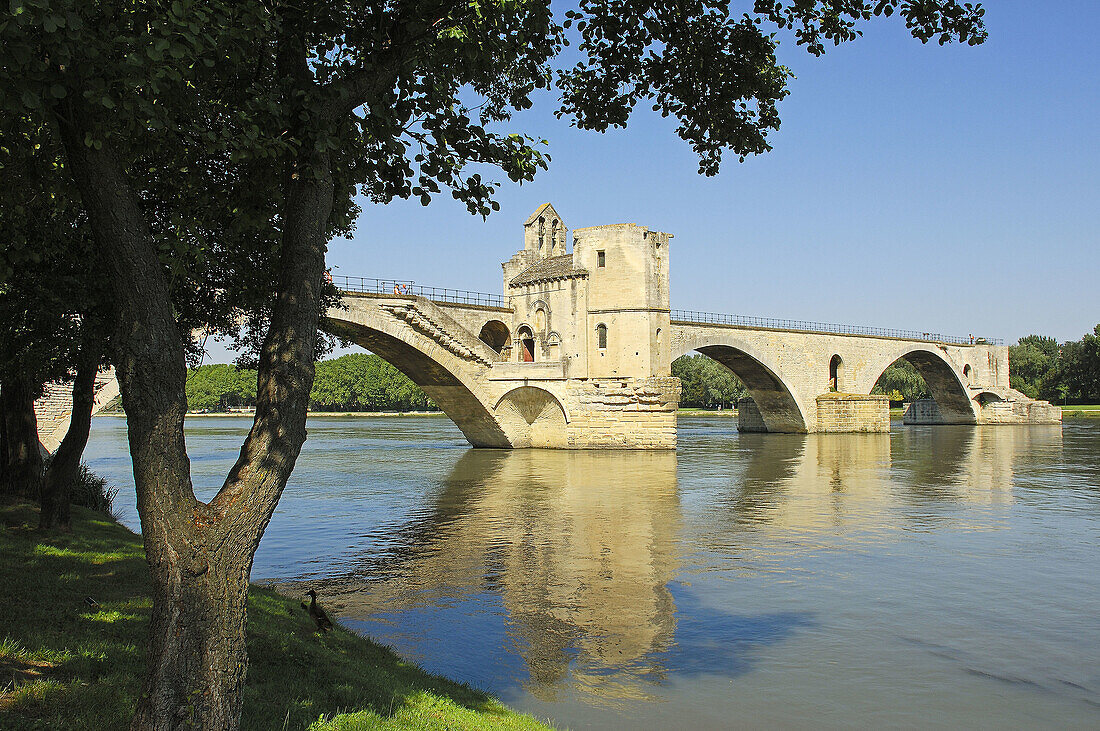 Saint Benezet bridge over Rhone river, Avignon. Vaucluse, Provence-Alpes-Côte dAzur, Rhone valley, Provence, France