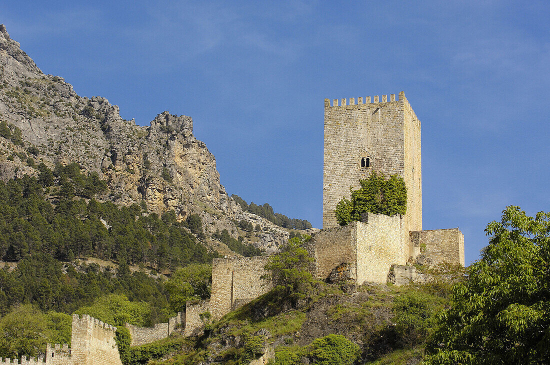 Yedra Castle in Cazorla Village  Sierra de Cazorla Segura y Las Villas Natural Park  Jaén province  Andalusia  Spain