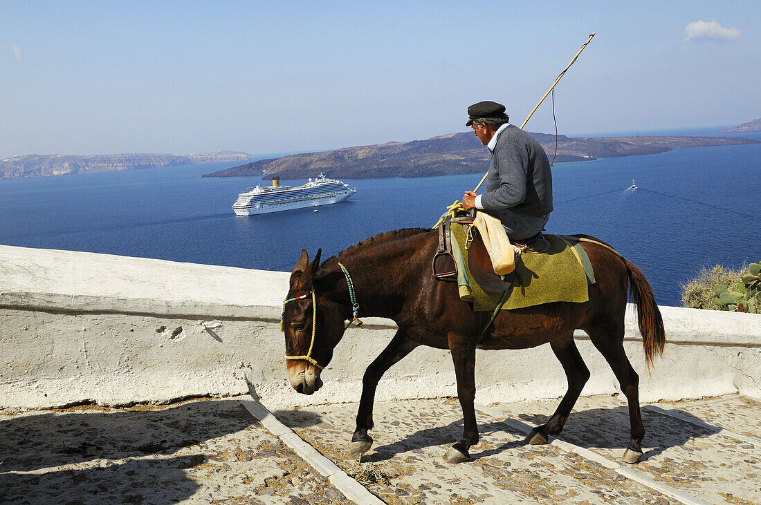 take the Tourists from the Cruisers up to Thira Town. Cruisers into the fluted Crater of Santorini