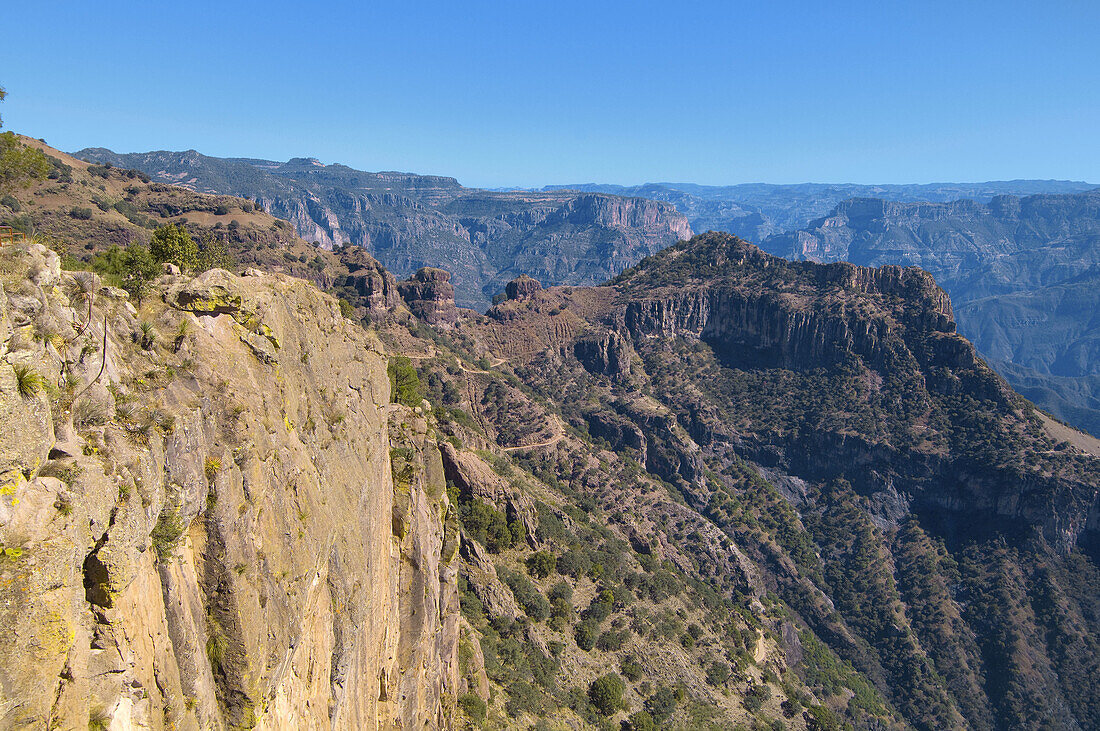 The Urique Canyon, the deepest canyon in the Sierra Tarahumara at 6, 200 feet, is one of six distinct canyons that make up the Copper Canyon Barranca del Cobre, Chihuahua, Mexico