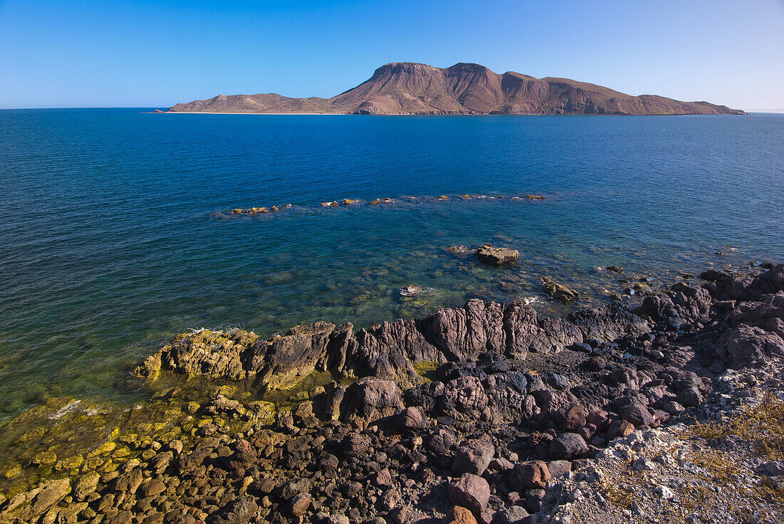 Isla Partido a k a  Isla Coyote, Sea of Cortes, Baja California Sur, Mexico