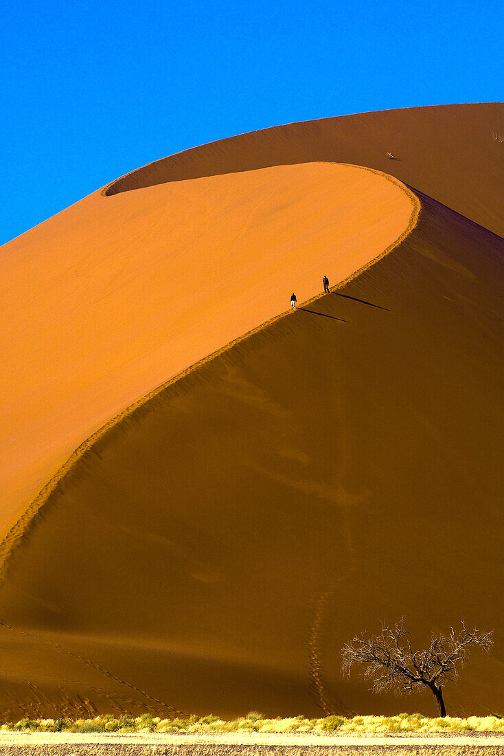 Sossusvlei Sand Dunes highest dunes in the world, Namib Desert, Namib-Naukluft National Park, Namibia