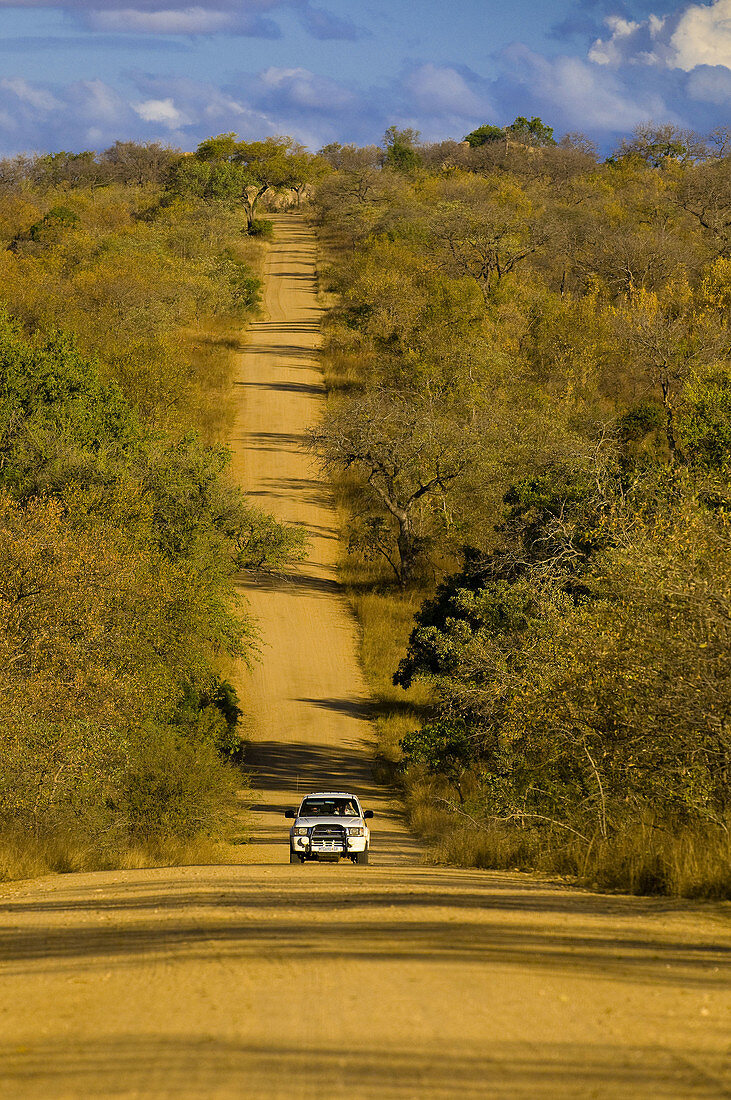 Safari vehicle driving down a long road in Kruger National Park, South Africa