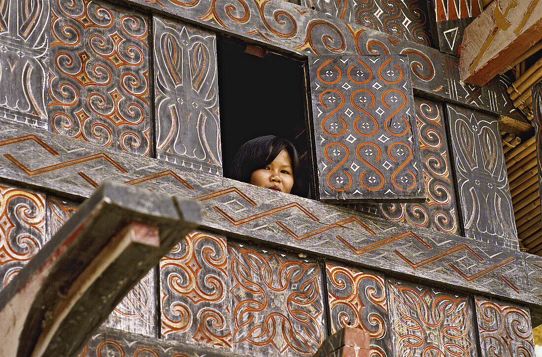 Woman at window. Tana Toraja land, Sulawesi, Indonesia