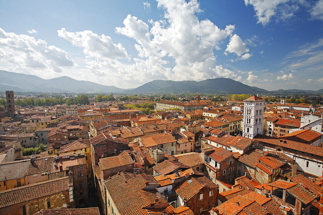 Lucca view from above, Tuscany, Italy