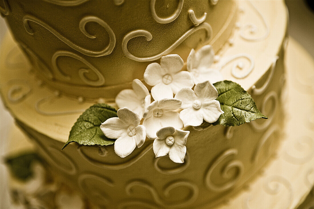 Close up, Close-up, Closeup, Color, Colour, Cuisine, Decorated, detail, details, elegance, elegant, flower, flowers, Food, Foodstuff, indoor, indoors, interior, Monochromatic, Monochrome, Nourishment, Ornate, Pastries, Pastry, Ready, Sweet, Tradition, Tra