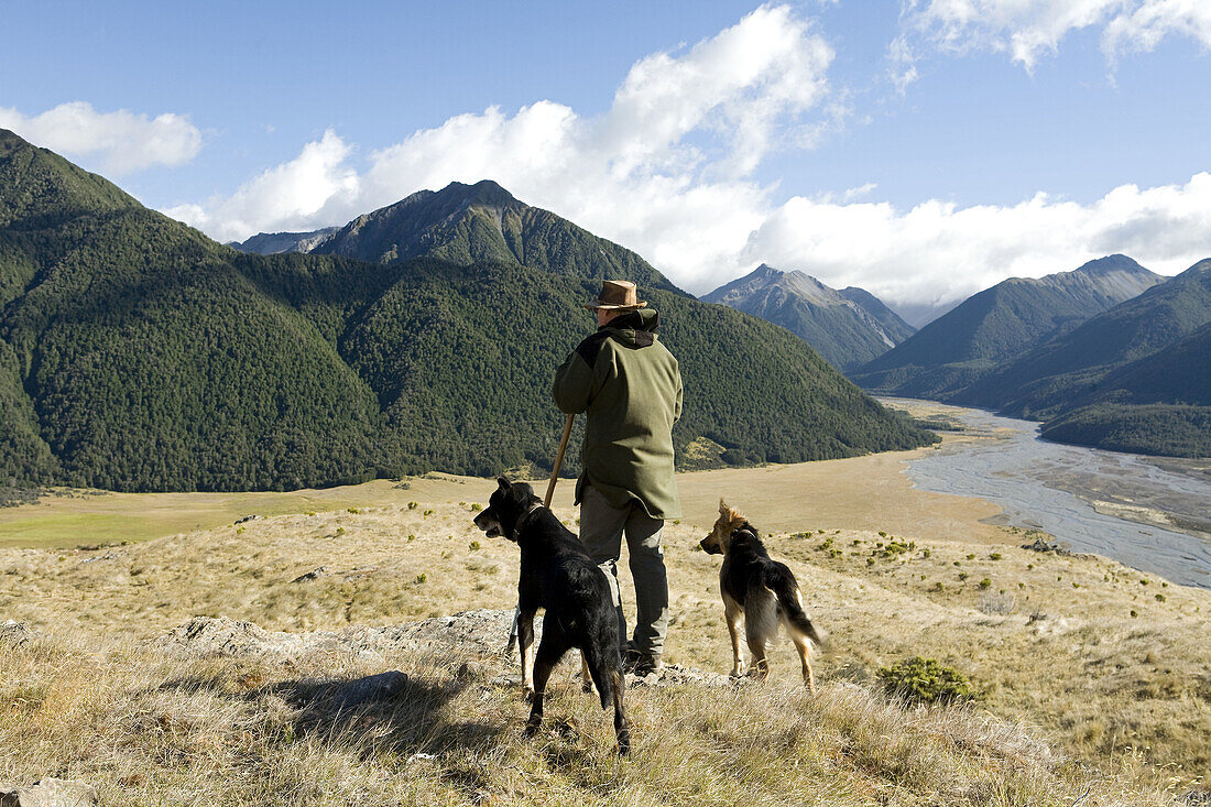 Sheeperd and Sheep dogs in the Southern Alps