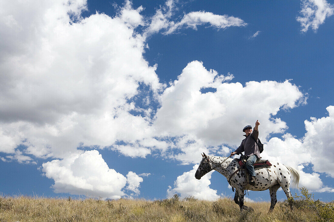 Horse rider in the outback New Zealand