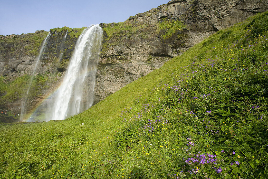 Seljalandsfoss, the most famouse in Iceland, 60 m Hifgh