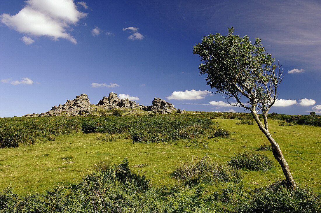 Hound Tor, Dartmoor, Devon, England, UK