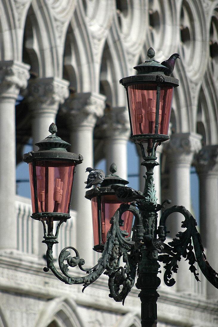 Venice Italy, pigeons on a street-lamp in front of Palazzo Ducale