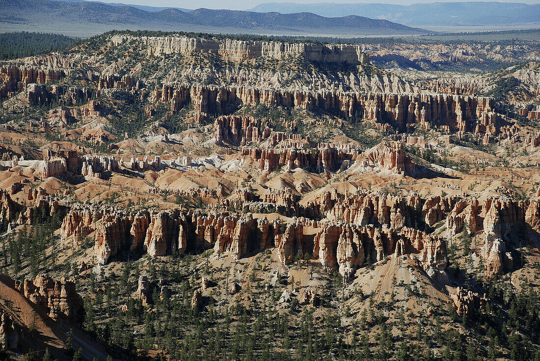 Bryce Canyon Utah, the hoodoos stone pillars plateau
