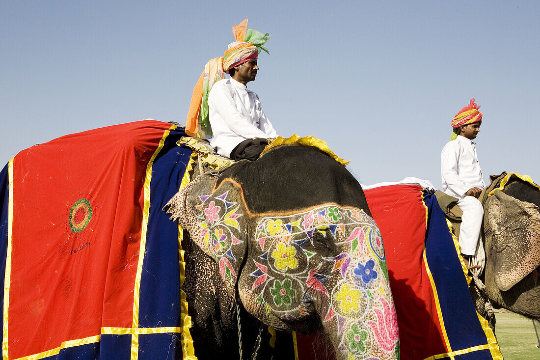 Elephant Festival, Jaipur, Rajasthan, India