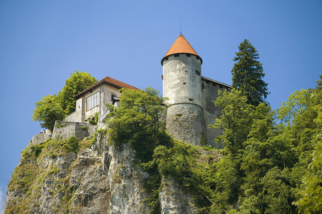 Bled Castle, the eleventh century, Bled, Slovenia, Europe.