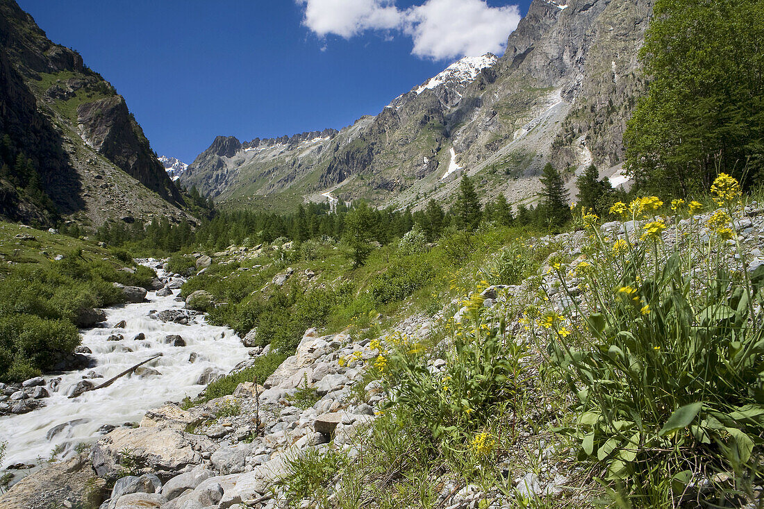 Rio home in Glacier National Park Les Ecrins, Los Alpes, Briancon, France.