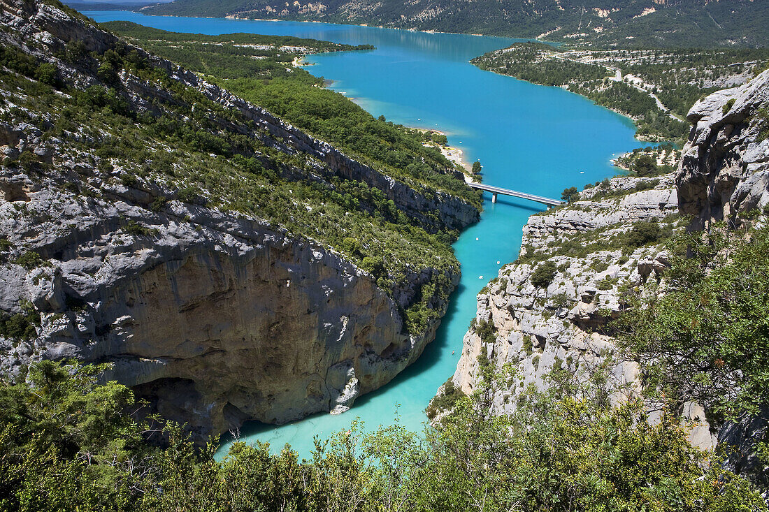 Verdon Regional Natural Park, Canyon of the Verdon Gorges, the High Alps of Provence, Alpes de Haute-Provence, Provence, Provence, France.