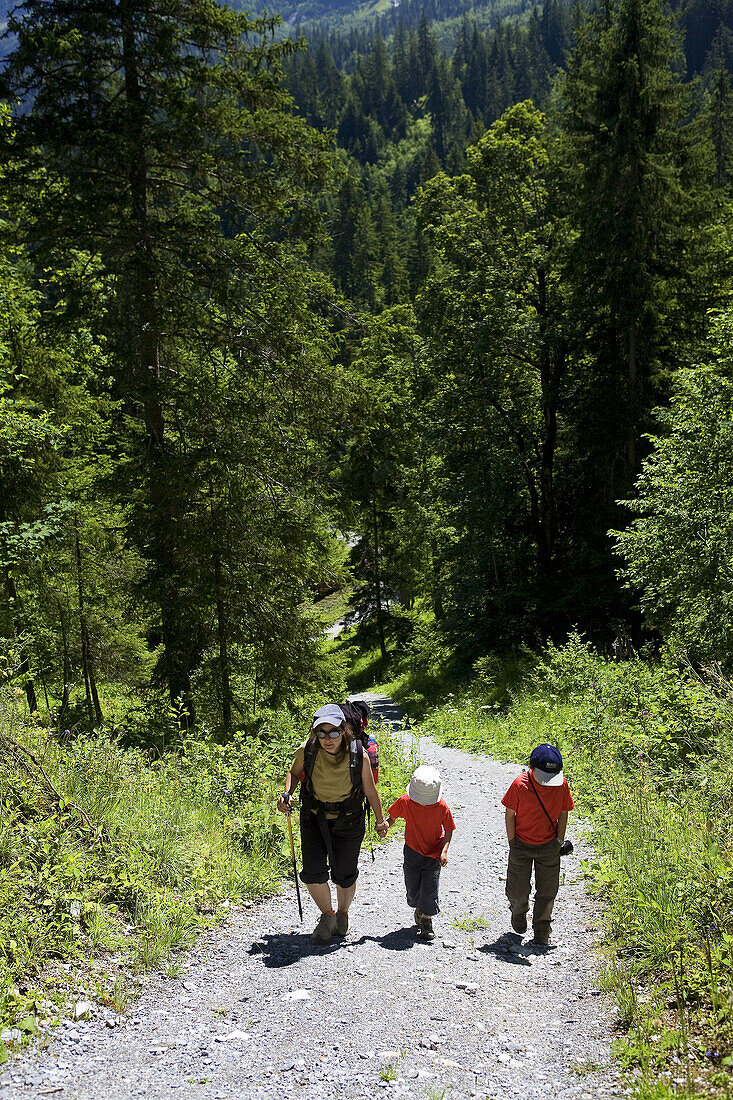 Hiker with children, crossing a forest at the foot of the Eiger  Berneses Alps, Switzerland