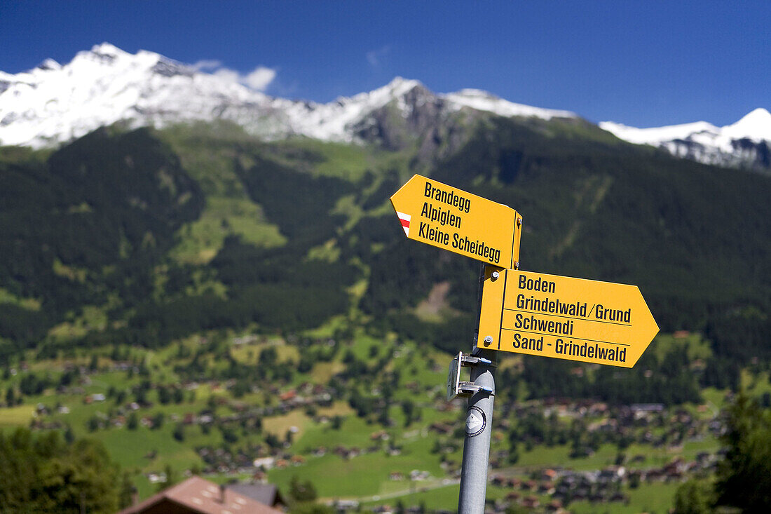Posters flags at the base of the mountain of Eiger  Grindelwald, Alpiglen  Kleine Scheidegg  Berneses Alps  Switzerland