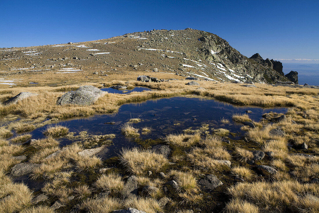 Summits of Sierra de Gredos  Alpine meadows pooling near Morezón and Navasomera  Sierra de Gredos Regional Park  Navacepeda de Tormes  Avila  Castilla y Leon  Spain