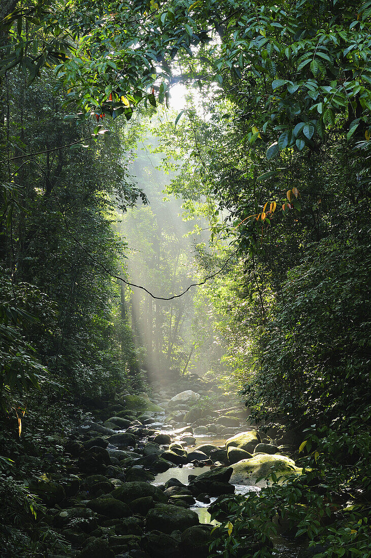 Sunbeam shining on Matang Family Park, Sarawak