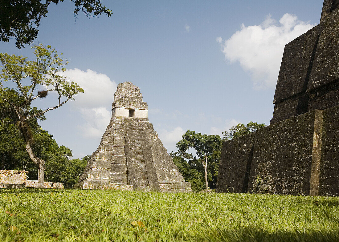 Guatemala, Peten, Tikal, Templo del Gran Jaguar