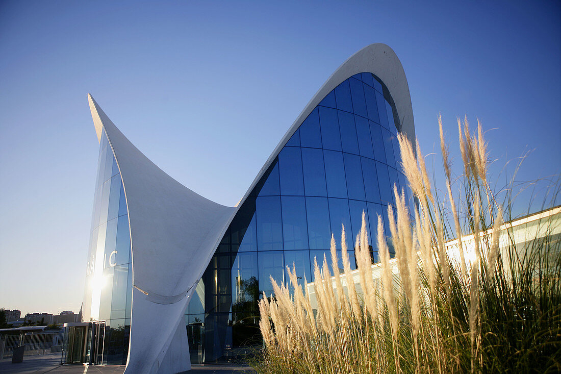 CAC, Oceanografic, Arts and Sciences City, Valencia