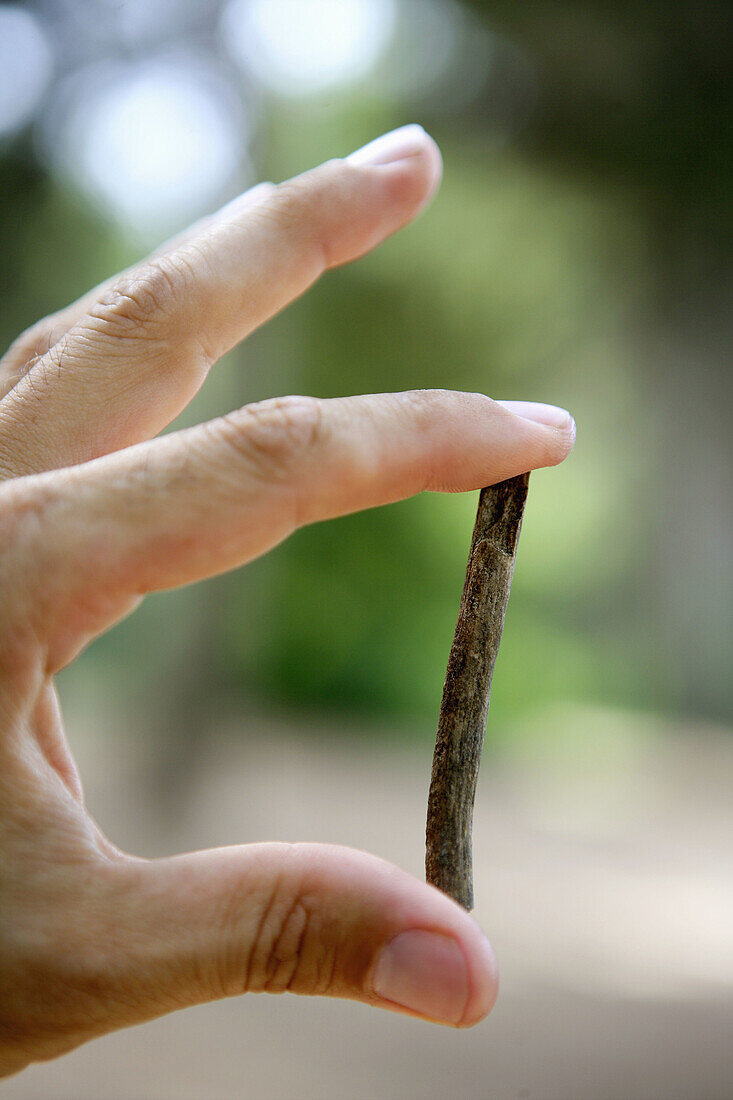 Mann mit Hand und trockenem Stock an den Fingern