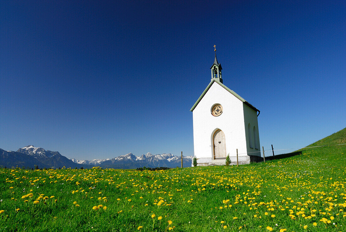 Kapelle in Löwenzahnwiese, Allgäu, Bayern, Deutschland