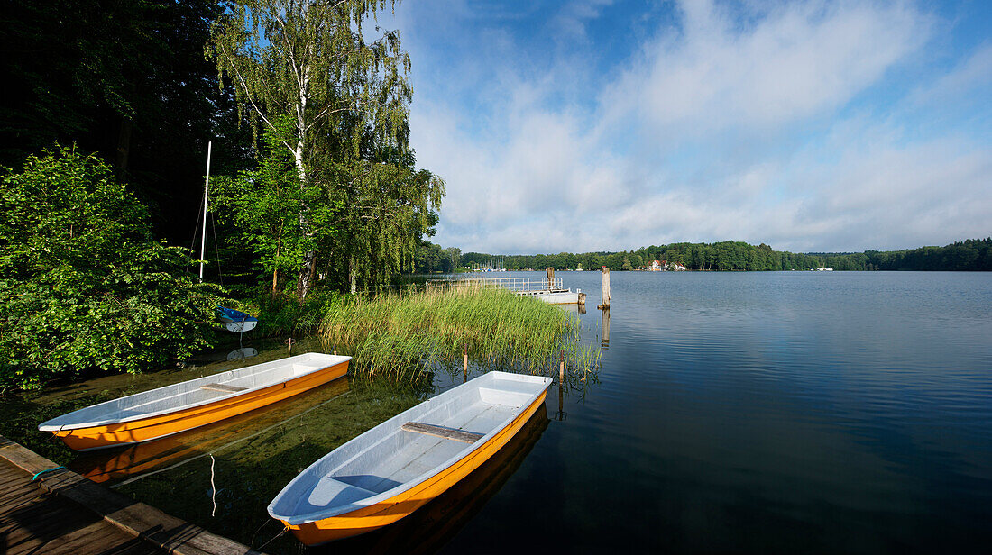 Boats at lakeshore, Werbellinsee, Eichhorst, Schorfheide, Brandenburg, Germany