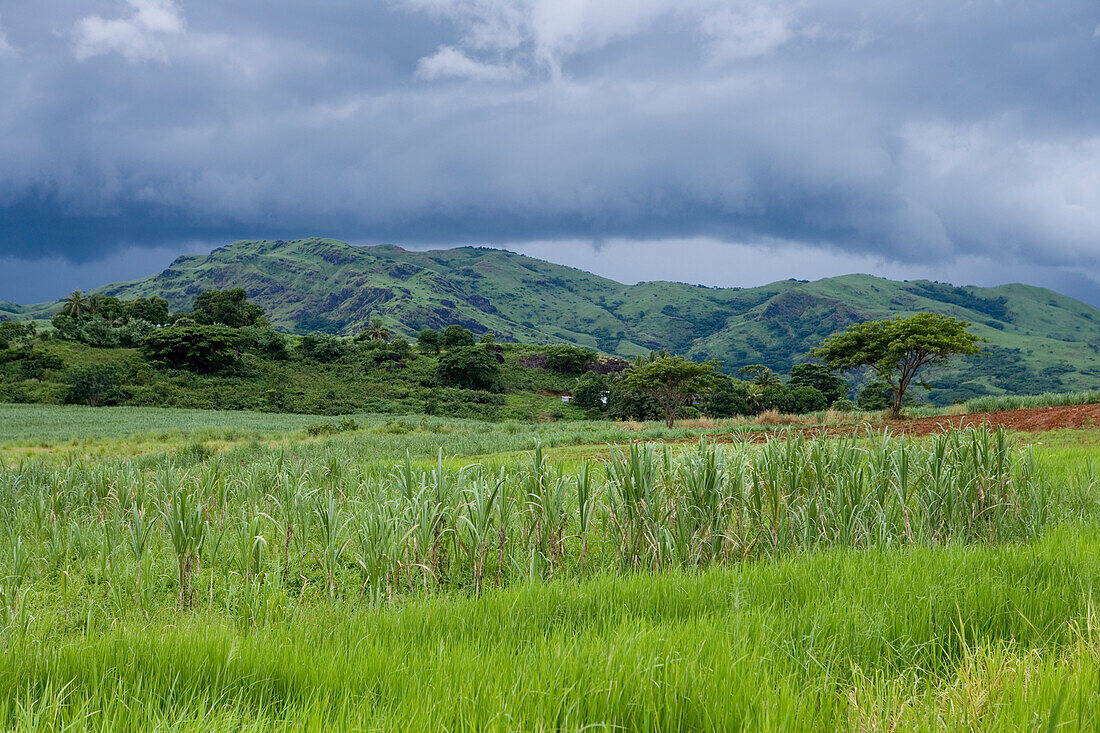 Grüne Vegetation und Zuckerrohrfeld im Nausori Hochland, Viti Levu, Fidschi Inseln, Südsee, Ozeanien