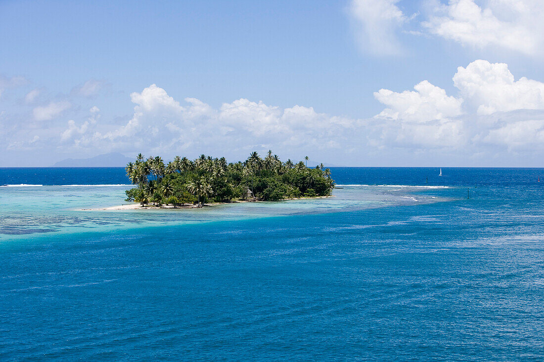 Kleine Motu Insel mit Palmen in der Raiatea Lagune, Raiatea, Gesellschaftsinseln, Französisch Polynesien, Südsee, Ozeanien