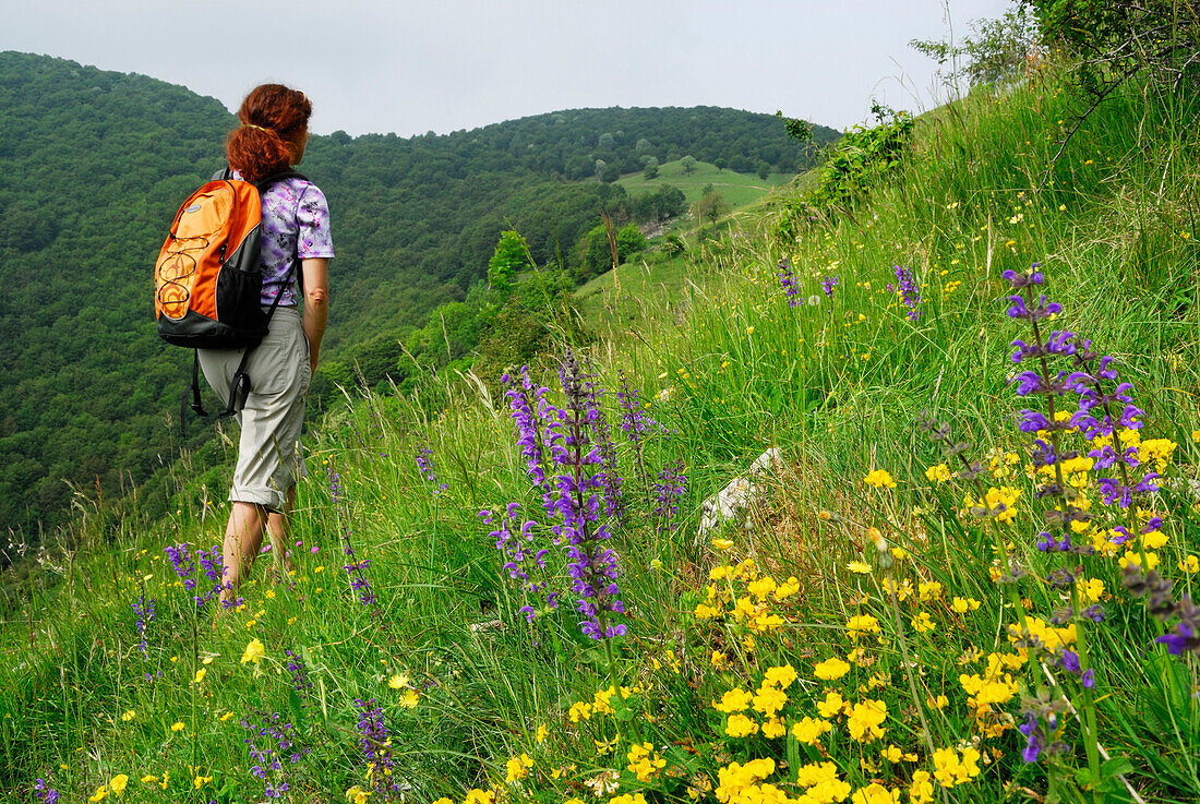 Frau wandert durch Blumenwiese, Monte Generoso, Muggiotal, Tessin, Schweiz