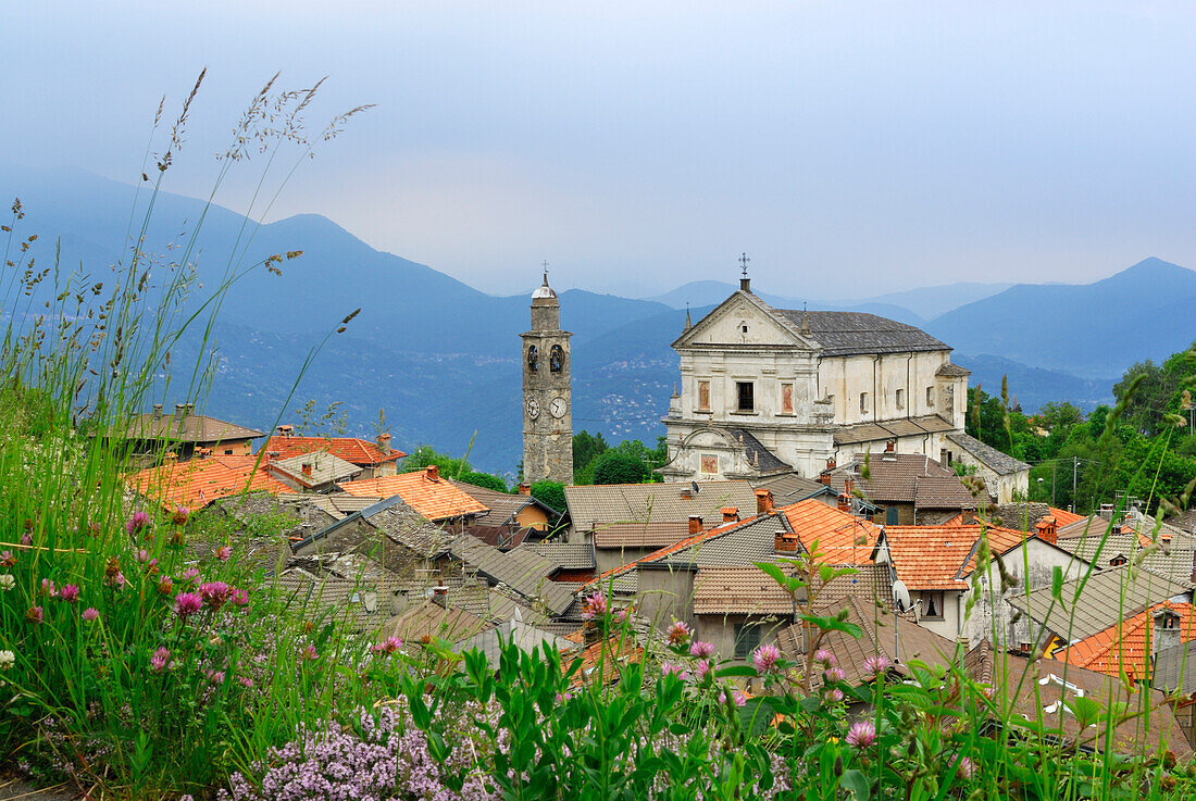 Kirchturm und Kirche über Hausdächer von Viggiona, Viggiona, Cannero, Lago Maggiore, Piemont, Italien
