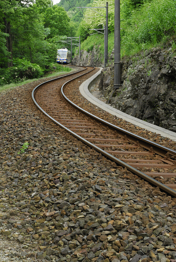 Train driving on a winding rail, narrow gauge, train through Centovalli, lake Maggiore, Lago Maggiore, Ticino, Switzerland