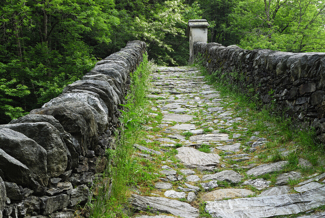 Stone arch bridge Ponte Romano over river Melezza, Intragna, Centovalli, lake Maggiore, Lago Maggiore, Ticino, Switzerland