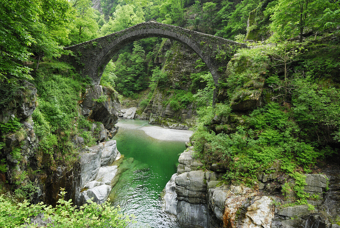 Steinbogenbrücke Ponte Romano über Fluss Melezza, Intragna, Centovalli, Lago Maggiore, Tessin, Schweiz