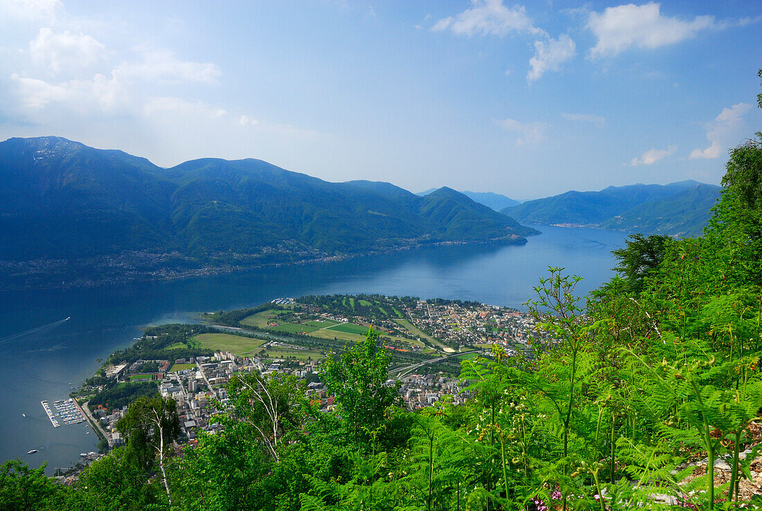 Delta des Flusses Maggia mit Locarno und Ascona am Lago Maggiore und Monte Gambarogno, Orselina, Locarno, Tessin, Schweiz