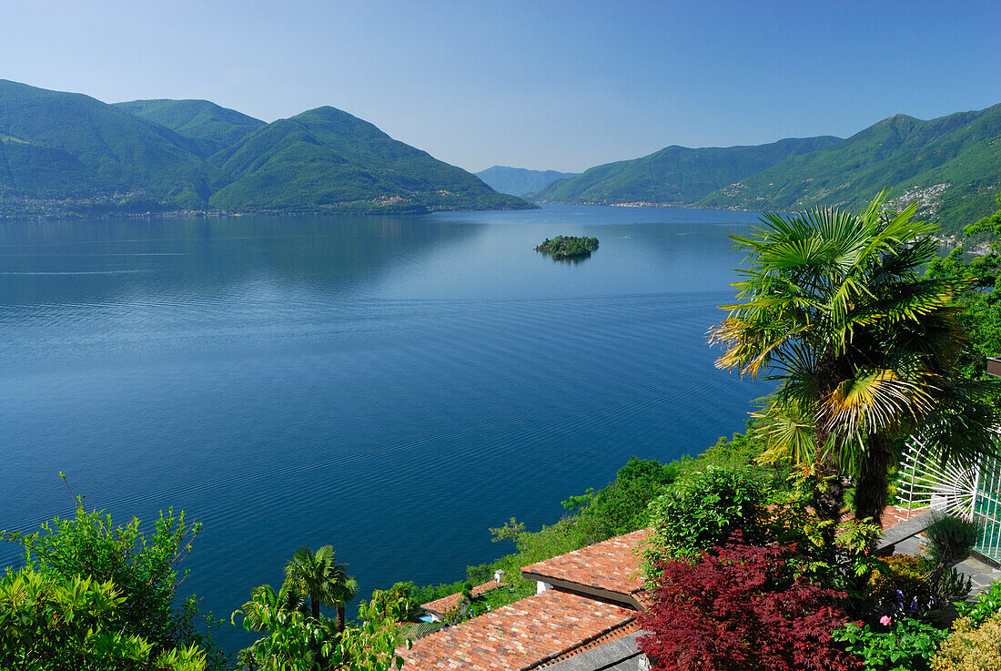 Terraced garden with palm trees and roofs above lake Maggiore with isle of Brissago, Isole di Brissago, Ronco sopra Ascona, lake Maggiore, Lago Maggiore, Ticino, Switzerland