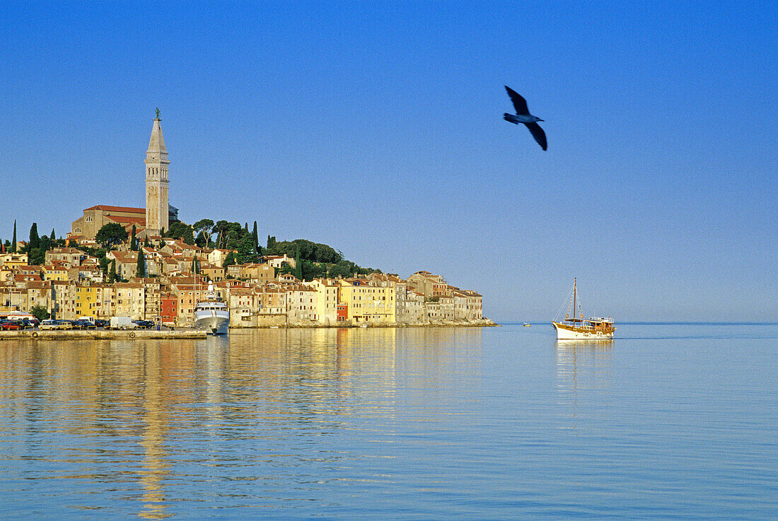 Excursion boat in front of the Old Town of Rovinj under blue sky, Croatian Adriatic Sea, Istria, Croatia, Europe