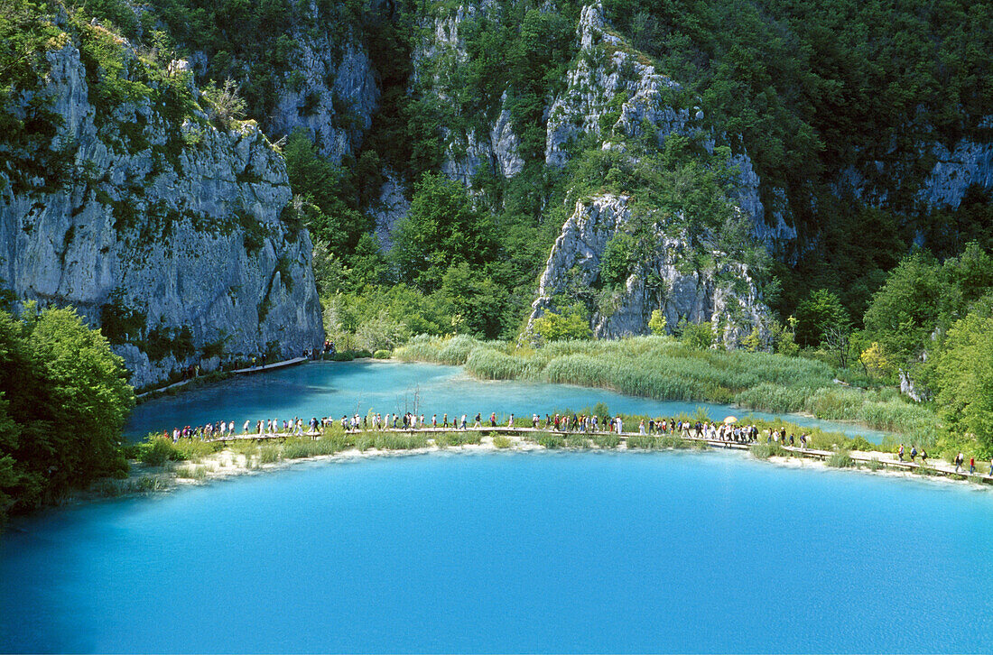 Blick auf die Plitwitzer Seen im Sonnenlicht, Kroatische Adriaküste, Dalmatien, Kroatien, Europa