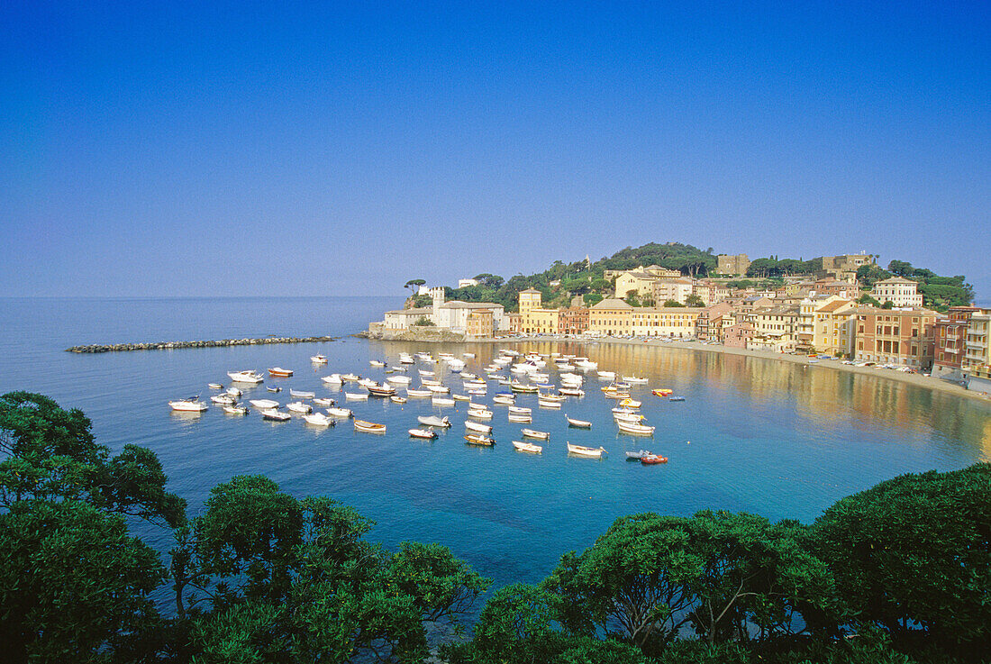 Blick auf die Hafenstadt Sestri Levante in der Bucht Baia del Silenzio, Italienische Riviera, Ligurien, Italien, Europa