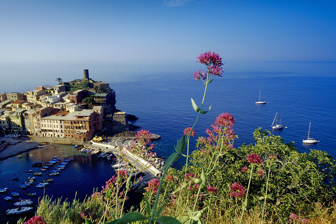 Blick auf Vernazza, Cinque Terre, Ligurien, Italienische Riviera, Italien, Europa