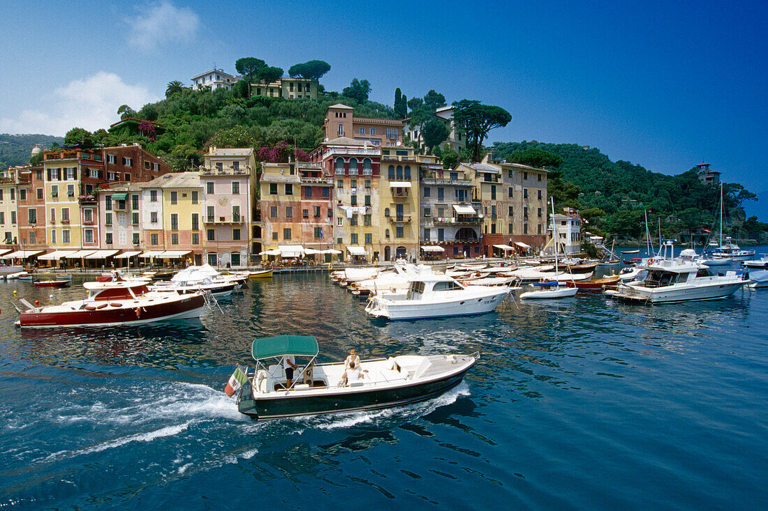 Ein fahrendes Motorboot vor dem Jachthafen, Portofino, Italienische Riviera, Ligurien, Italien, Europa