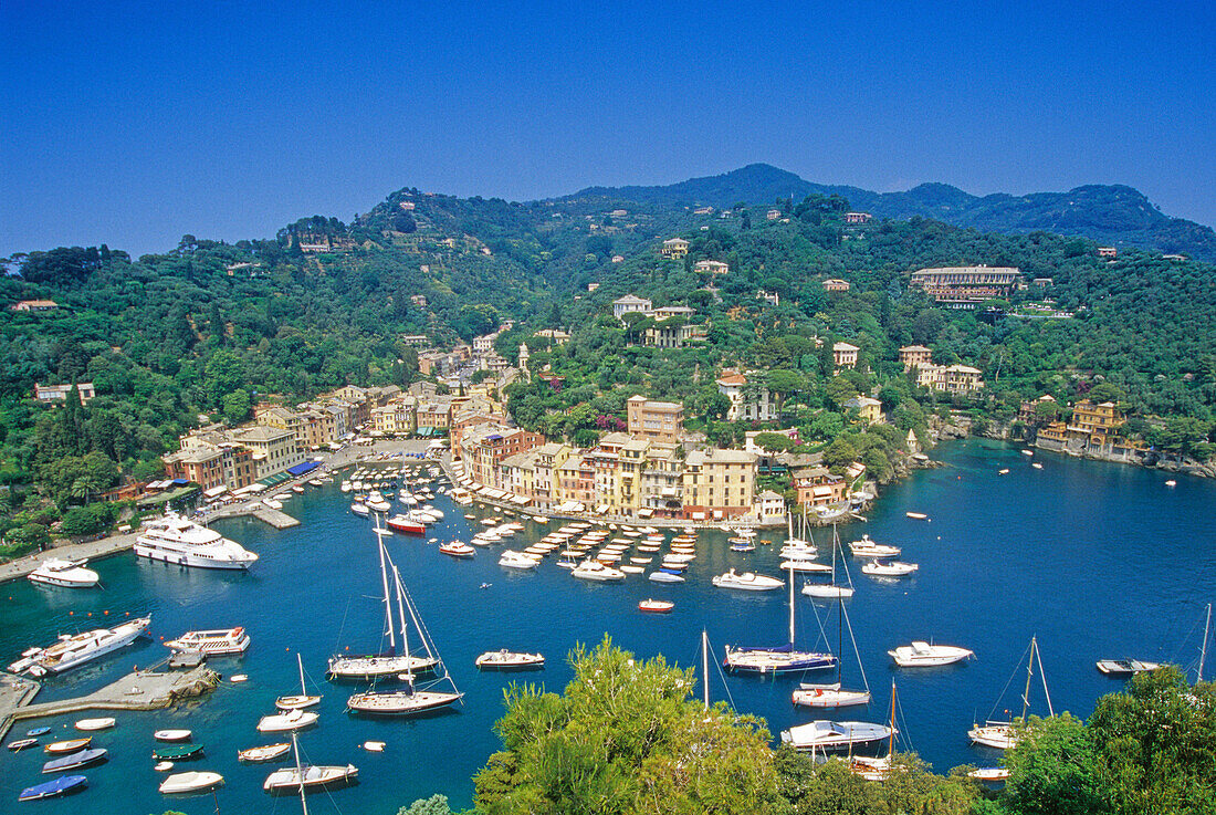 Blick auf den Jachthafen unter blauem Himmel, Portofino, Italienische Riviera, Ligurien, Italien, Europa