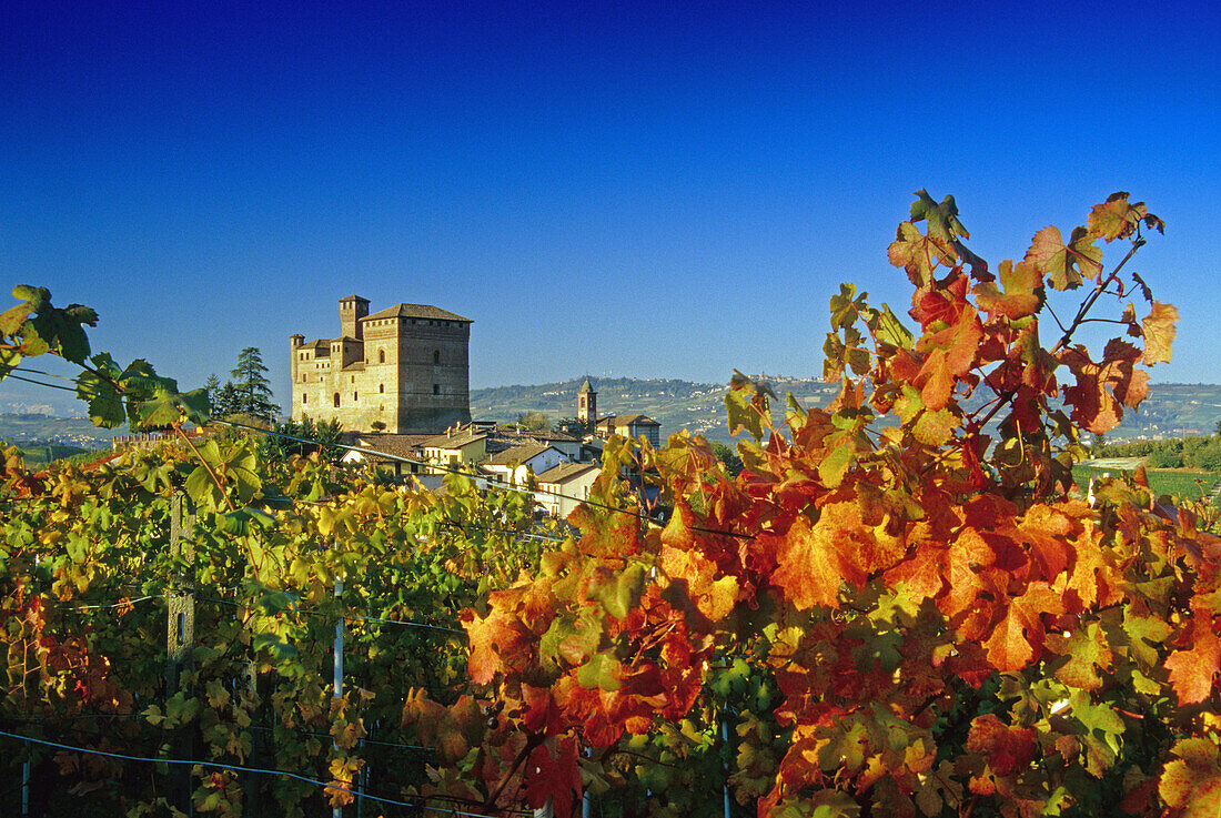 Vineyard and Castello Grinzane Cavour under blue sky, Piedmont, Italy, Europe