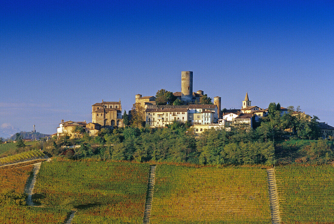 Weinberge vor Castiglione Falletto unter blauem Himmel, Piemont, Italien, Europa