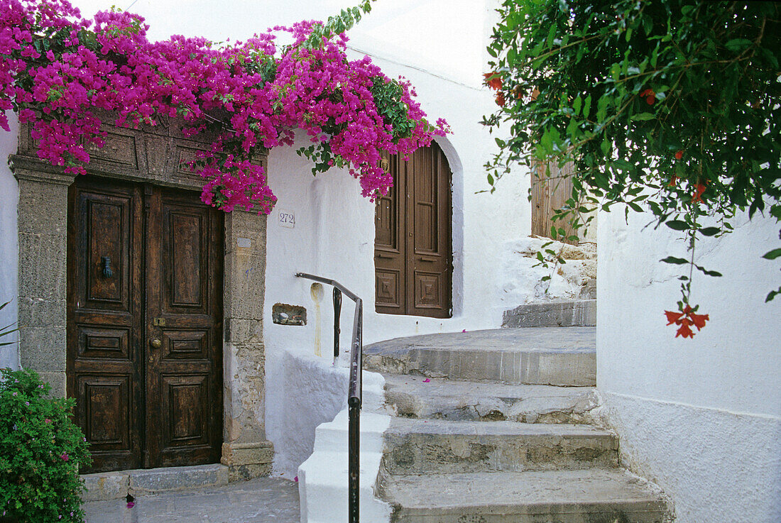 Blooming climber at the entrance of a house, Lindos, Island of Rhodes, Greece, Europe