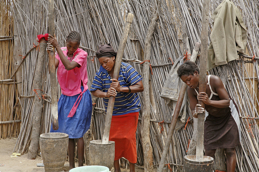 NAMIBIA  Women preparing food by pounding grain   Nyangana, a small village and mission station in the north of the country on the Angolan border