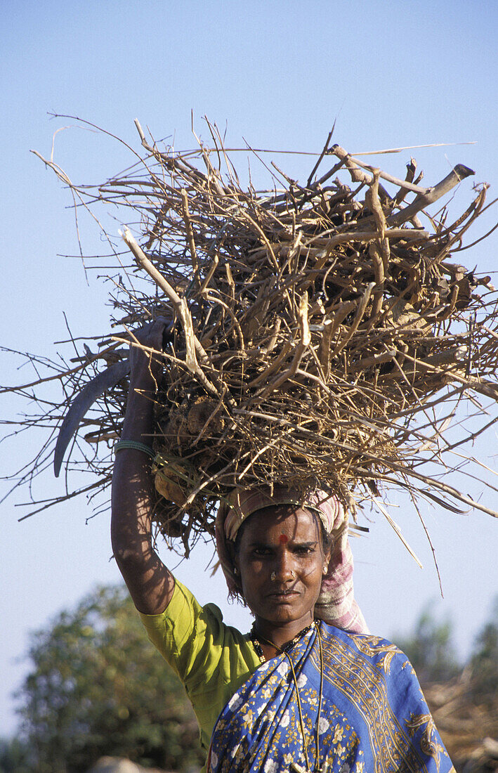 9260  INDIA  Woman carrying firewood, Seegenahalli, Kolar district, Karnataka