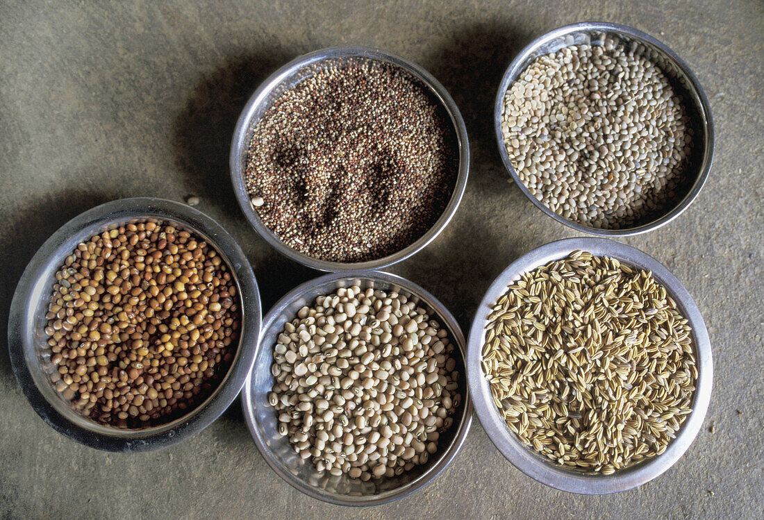 9239  INDIA  Traditional seeds of horse gram, red gram, cow peas, rice and finger millet   Alaganahalli village, near Kolar, Karnataka